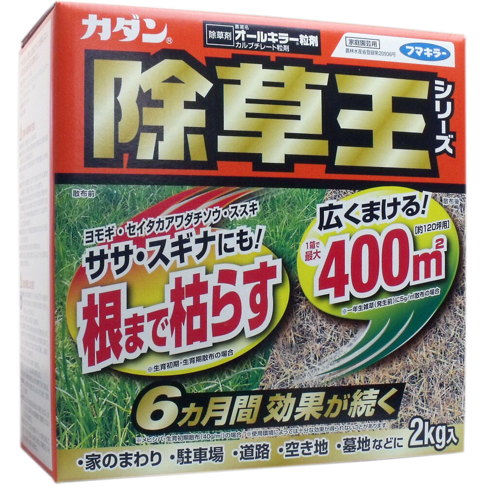 【農薬】カダン 除草王 オールキラー粒剤 2Kg