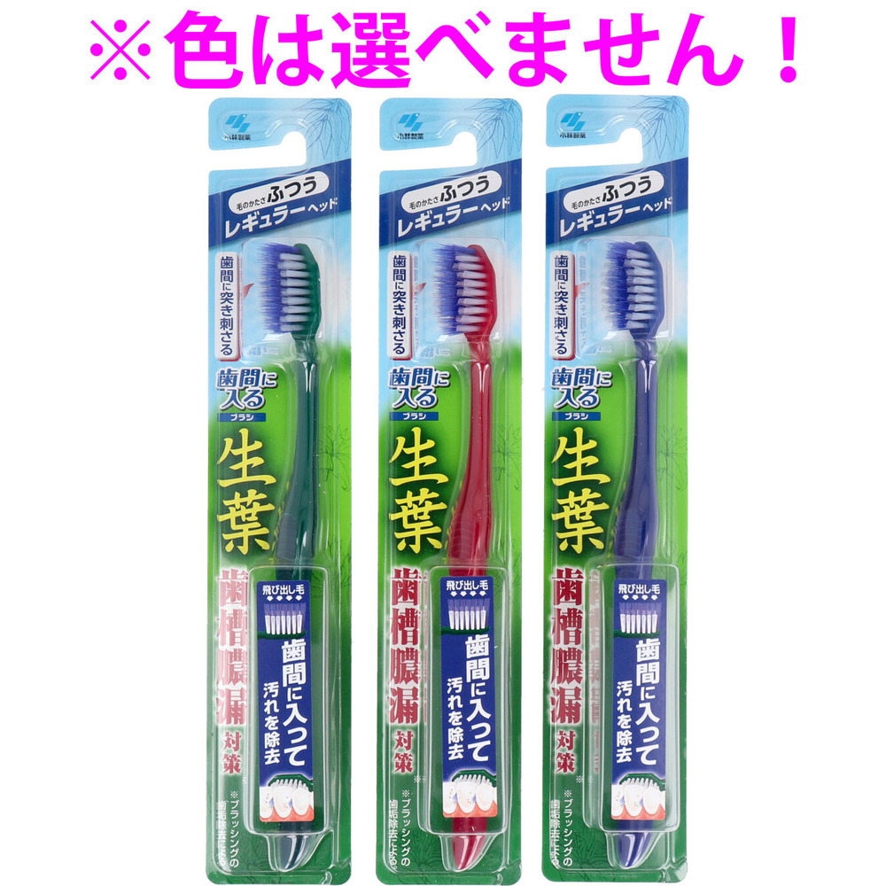 生葉 歯間に入るブラシ レギュラーヘッド ふつう 1本入